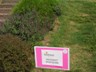 dscn1090.jpg