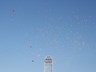 img_asistershope2012_617.jpg