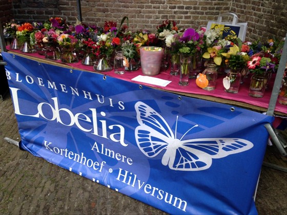 2016-pmnl_lobelia_table.jpg